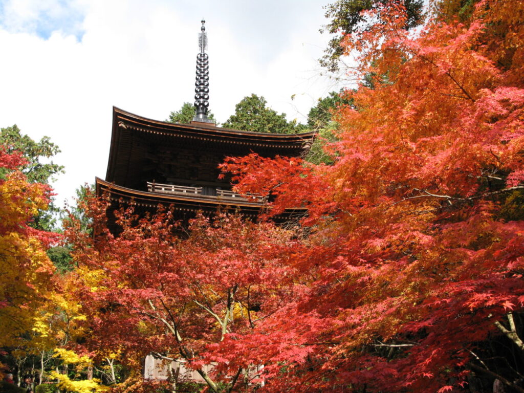 金剛輪寺 画像提供：（公社）びわこビジターズビューロー