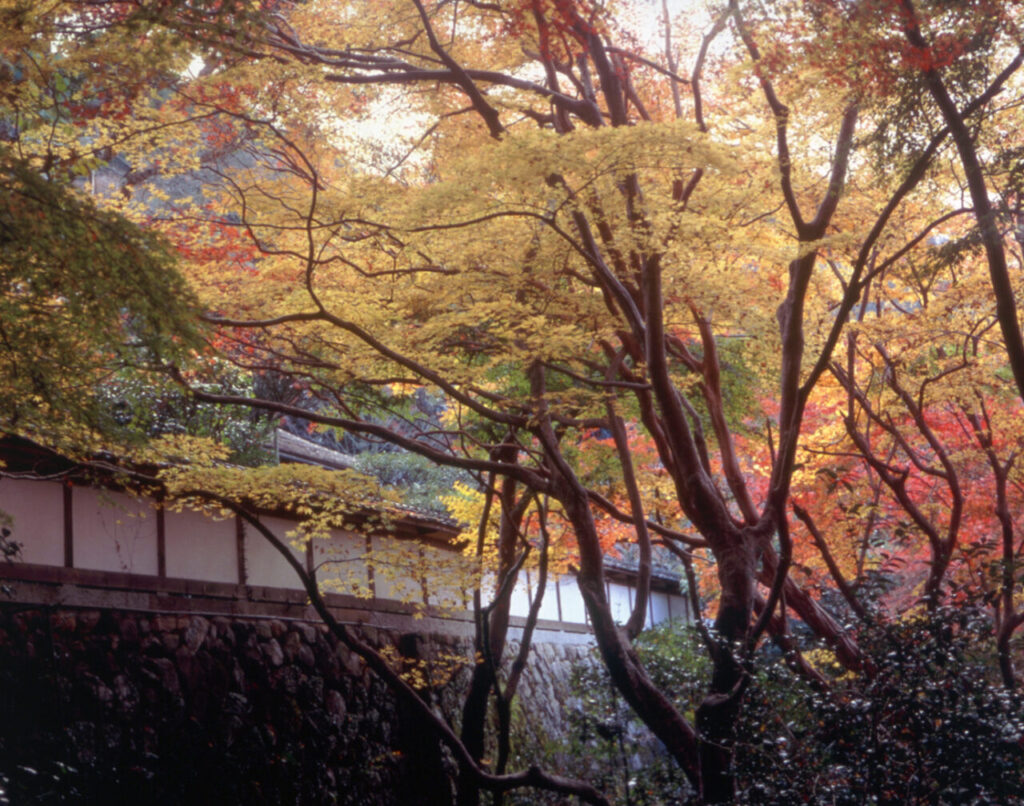 正暦寺