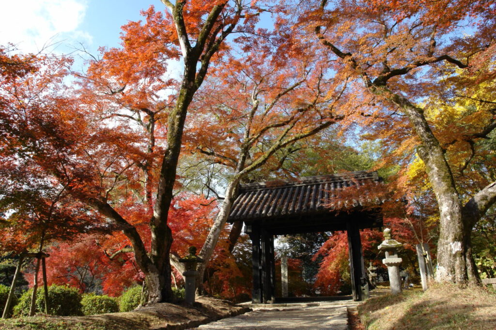 秋月　©福岡県観光連盟