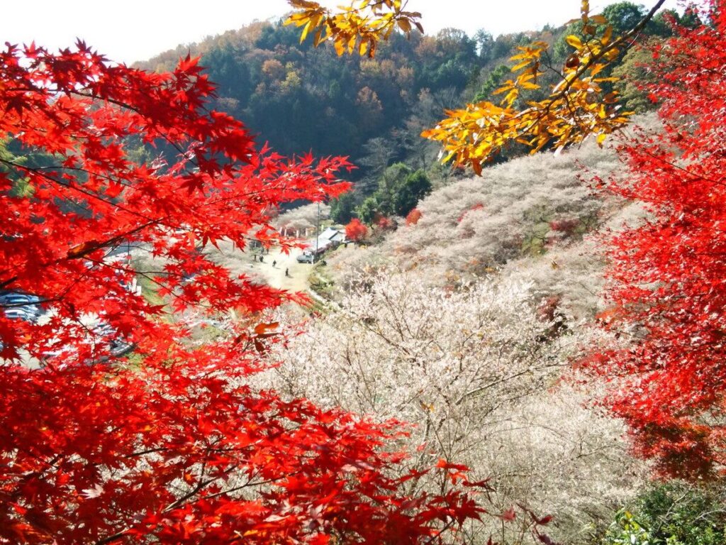 小原ふれあい公園