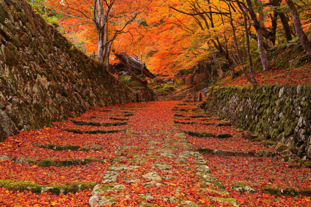 百済寺