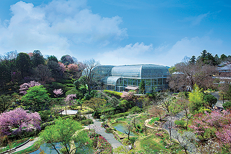 高知県立牧野植物園