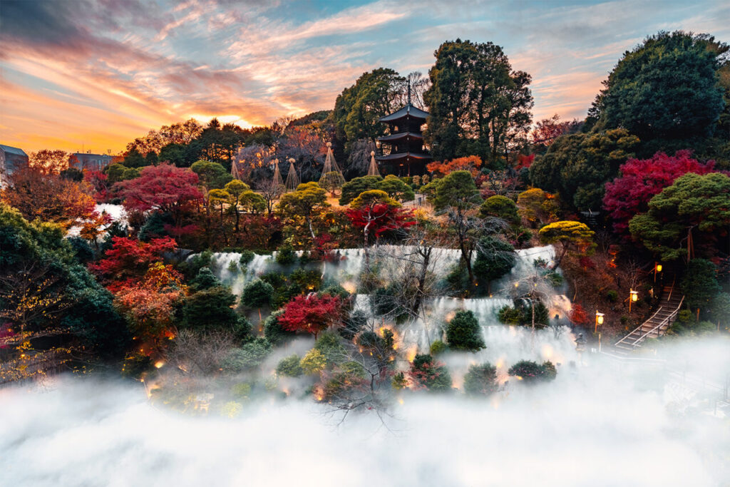 ホテル椿山荘東京　紅葉と雲海の庭園