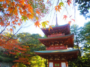 油山寺