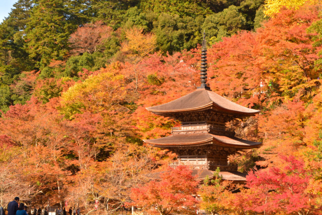 金剛院（画像提供：舞鶴市）